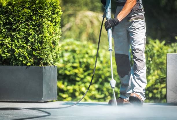 Best Restaurant Pressure Washing  in Hayden, CO